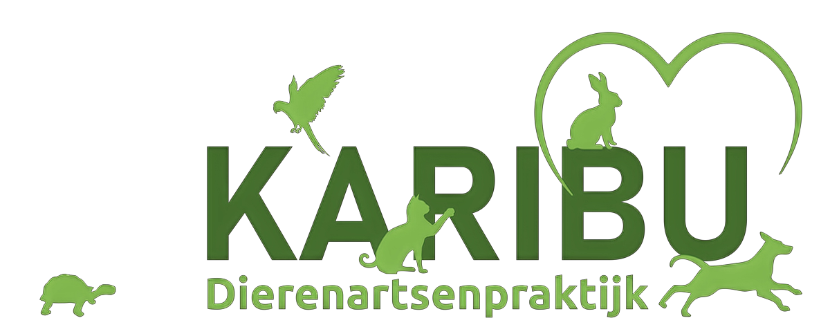 Karibu Logo